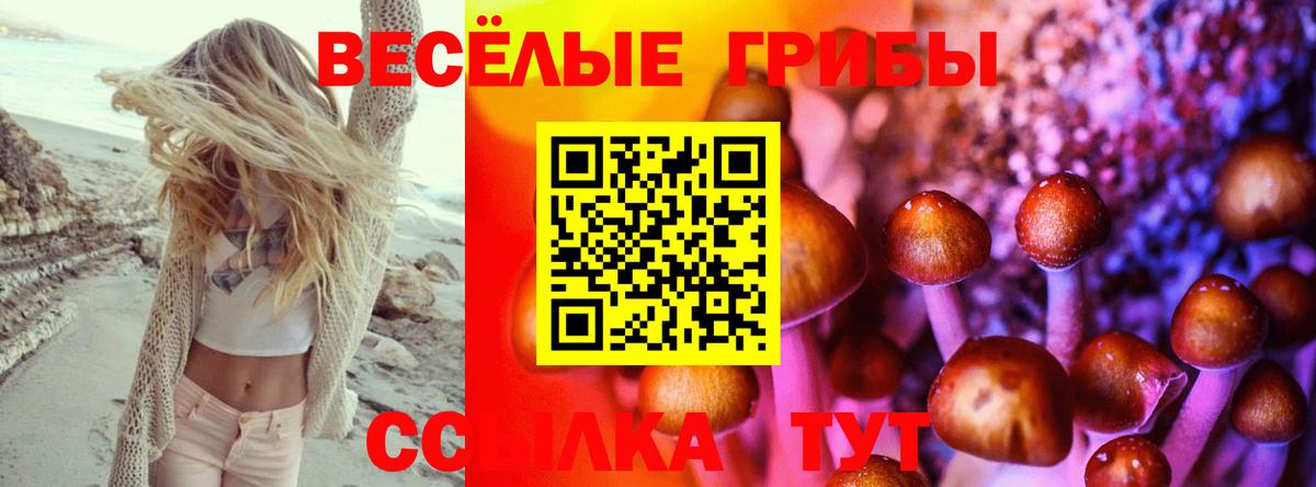 Псилоцибиновые грибы прущие грибы Шадринск